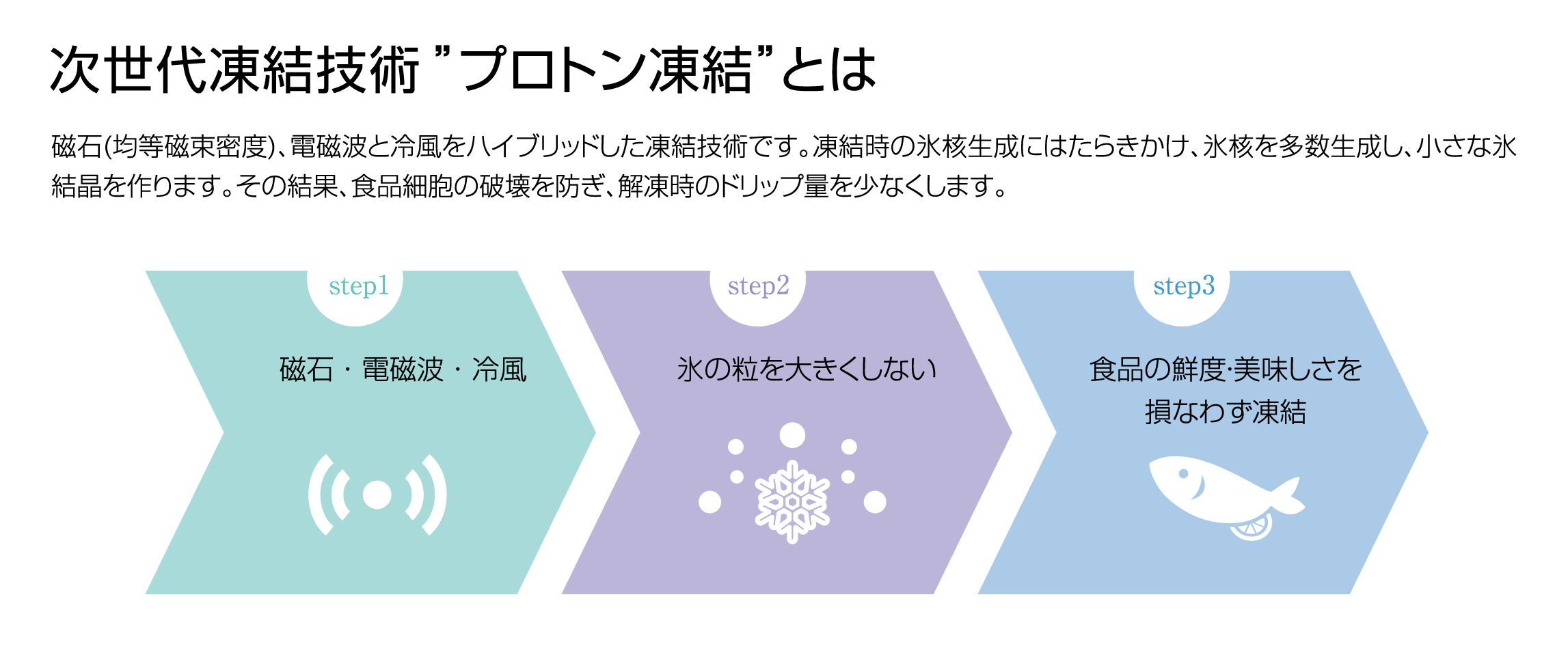 次世代凍結技術”プロトン凍結”とは