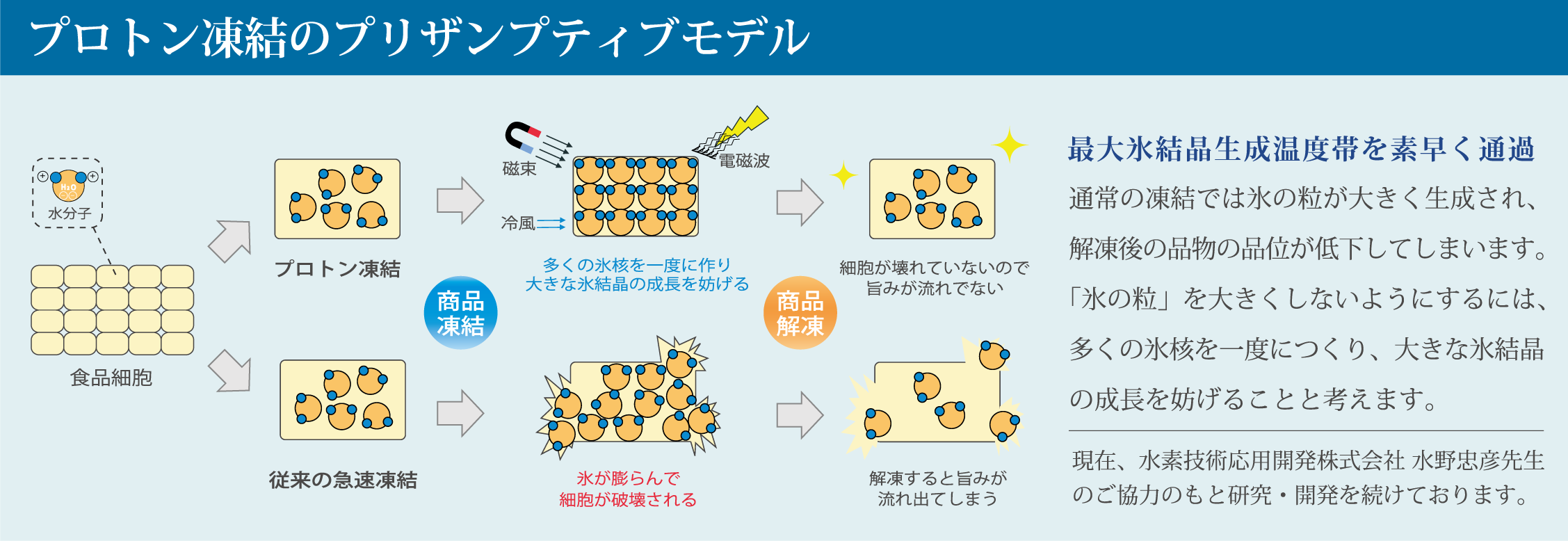 プロトン凍結のプリザンプティブモデル