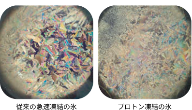 従来の急速凍結の氷とプロトン凍結の氷